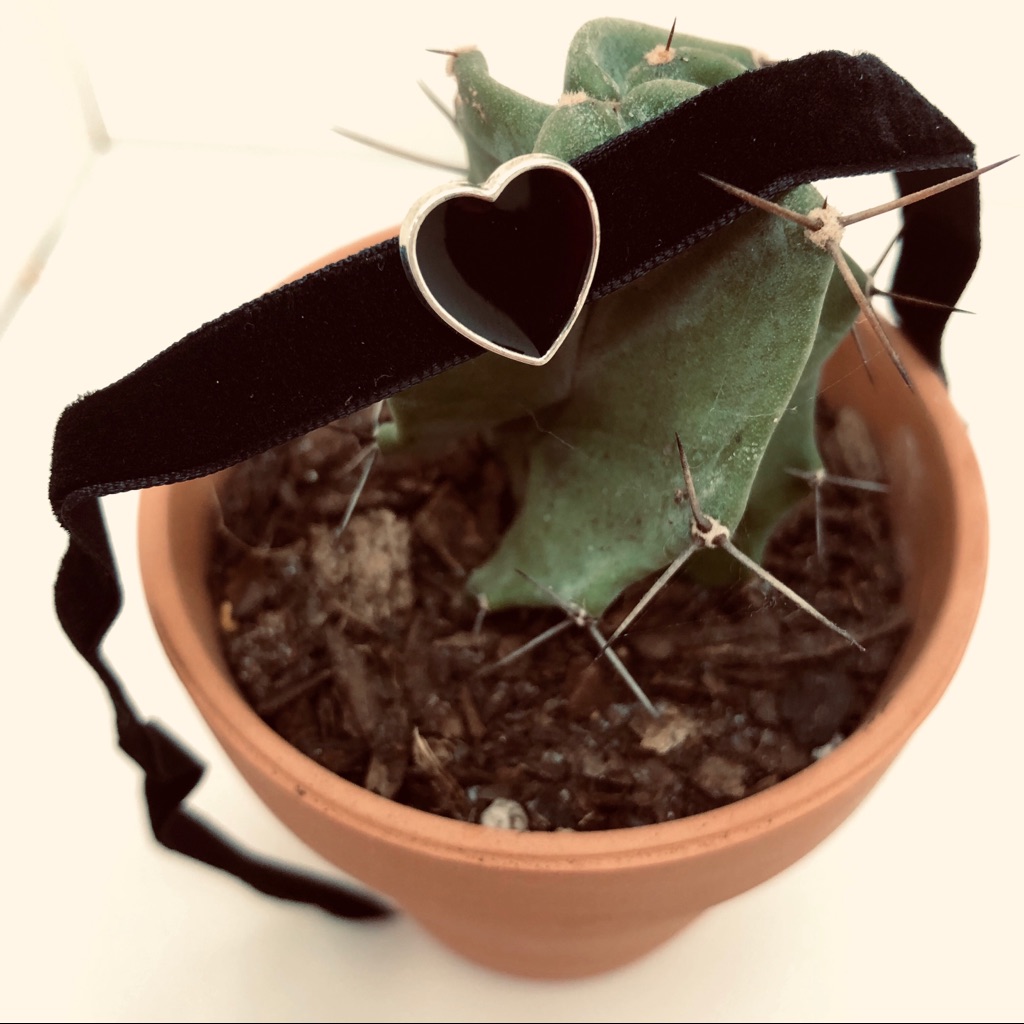 “Hearted” Chocker